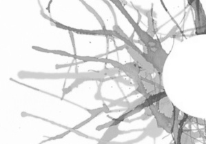 Comment je me sens ? Comment je me sens ?