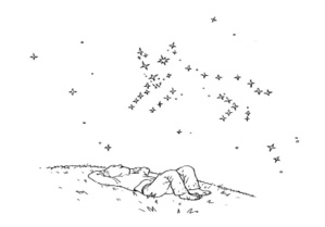 La constellation La constellation