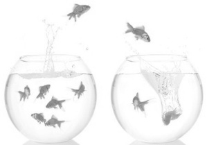 Transposer Transposer