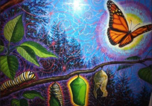 Imaginal 