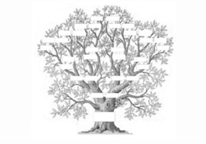 L'arbre à projet L'arbre à projet