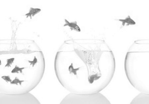 Comme l’eau vive Comme l’eau vive