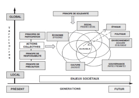 Raisonnement séquentiel analytique et itératif systémique Raisonnement séquentiel analytique et itératif systémique