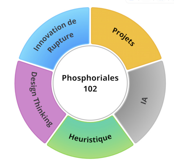 Phosphoriales 102: Co - construire des projets innovants avec le Design Thinking, la Facilitation & l'IA Phosphoriales 102: Co - construire des projets innovants avec le Design Thinking, la Facilitation & l'IA