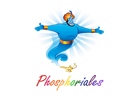 Phosphoriales : 27 Janvier et 17 Février de 18h à 19h -  2 Webinaires de  présentation de la méthode d'Innovation Participative ® Phosphoriales 