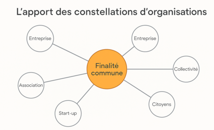 L'apport des constellations d'Organisation