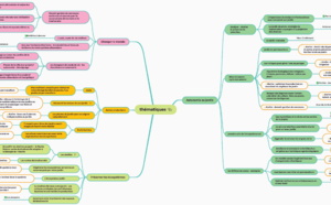 Une belle Mindmap de synthèse du Festival de l'Autonomie du Jardin