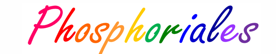 Phosphoriales Phosphoriales